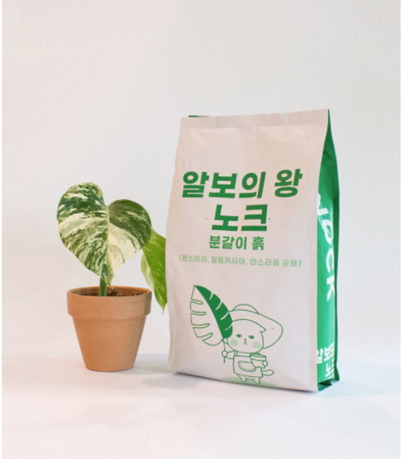 알보의 왕 노크 분갈이 흙 5L 몬스테라 알로카시아 안스리움 분갈이 흙, 1개