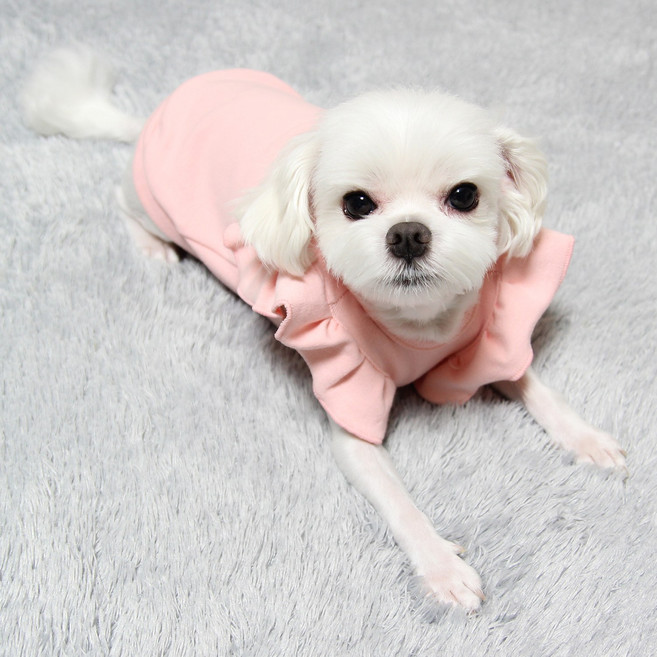 도기코디 이너 프릴티, 핑크, 1개