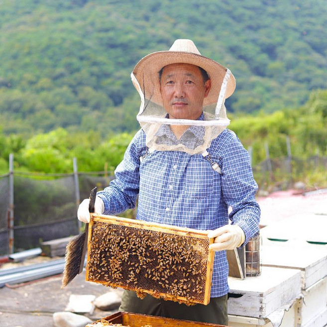 지리산 진짜 천연꿀 축산물품질평가원 1등급 산청벌꿀, 2.4kg, 1개