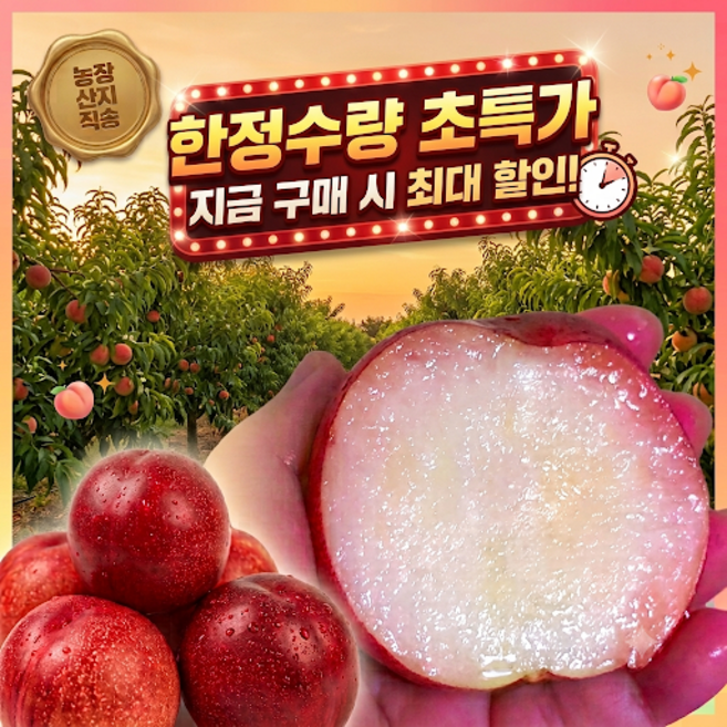 [선착순특가]농장직송 신비복숭아 고당도 왕 대과, 1박스, 1kg
