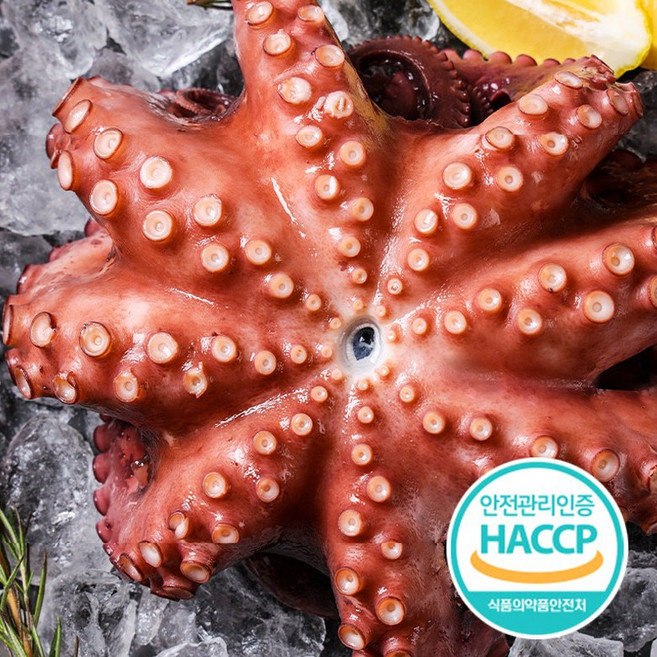 국산 자숙 문어 데친 숙회 제수용 500g 1kg 1.5kg 국내산 손질 문어 180g 500g 활 생물 문어 1kg, 2. 자숙문어 600g~800g, 1개