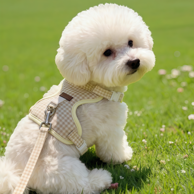 강아지 체크 하네스 리드줄 세트 소형견 가슴줄 애견 산책용, 1개, 옐로우