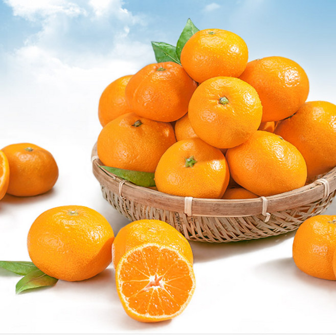 다사모농장 저농약 제주감귤 10kg-15kg 귤, 1개, 제주 감귤 10KG (L-2L) 중대과