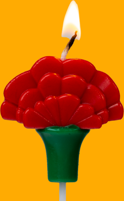 카네이션 빨간 장미 디자인 초 소용량 도매가격 스승 어버이 케이크 데코 촛불 예쁜, 5개, 20g, 빨간 장미 카네이션