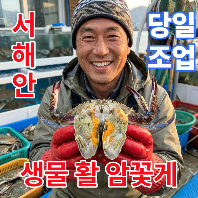 어부의뜰 서해안 국내산 생물 암꽃게 봄 알배기 꽃게 국산 활꽃게, 1개, 1kg