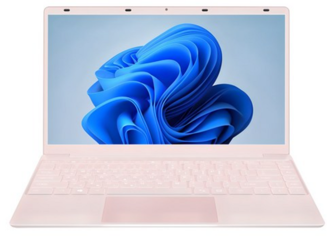 태클라스트 2024 네오북 N14GO 14 인텔 셀러론 N4020, 펄 핑크, 2048GB, 6GB, WIN11 Home