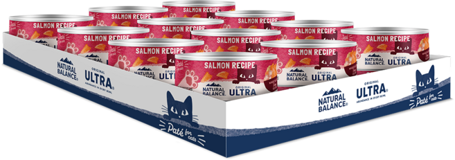 내추럴발란스 전연령 고양이 주식캔, 연어, 156g, 24개
