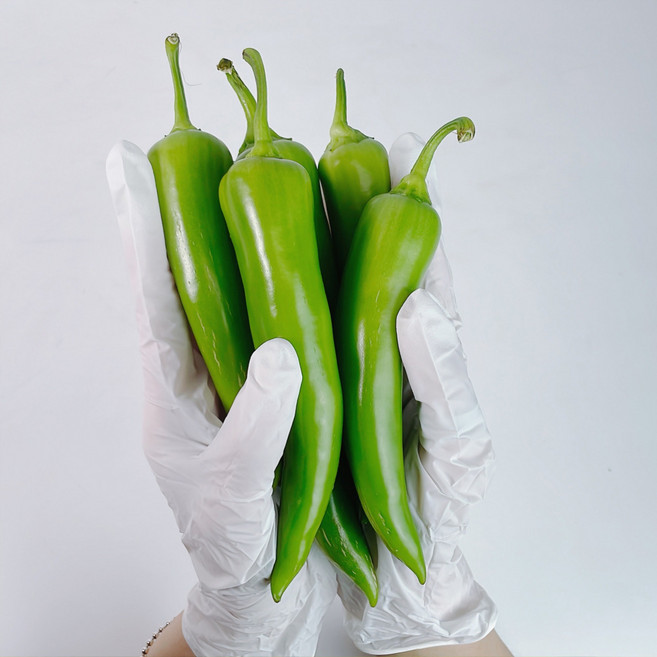 모악산 당조고추 최상품 국내산 농가직송 1kg, 1세트