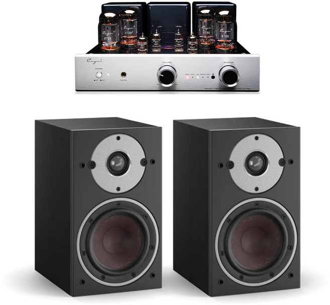 케인(Cayin) CS-55A + Dali Oberon 1 진공관 오디오, Light Oak