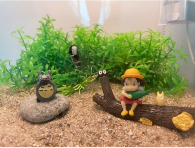 토토로 어항 풀세트 - 네온테트라 구피 작은어항 어항풀세트 수족관 물멍 지브리 가오나시, 1개