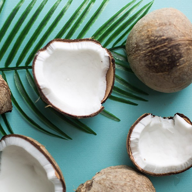 베트남 코코넛 야자 1박스 코코넛 생과, 1개