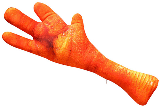 쓸데없는선물 닭발인형 쿠션 웃긴선물 60cm/80cm