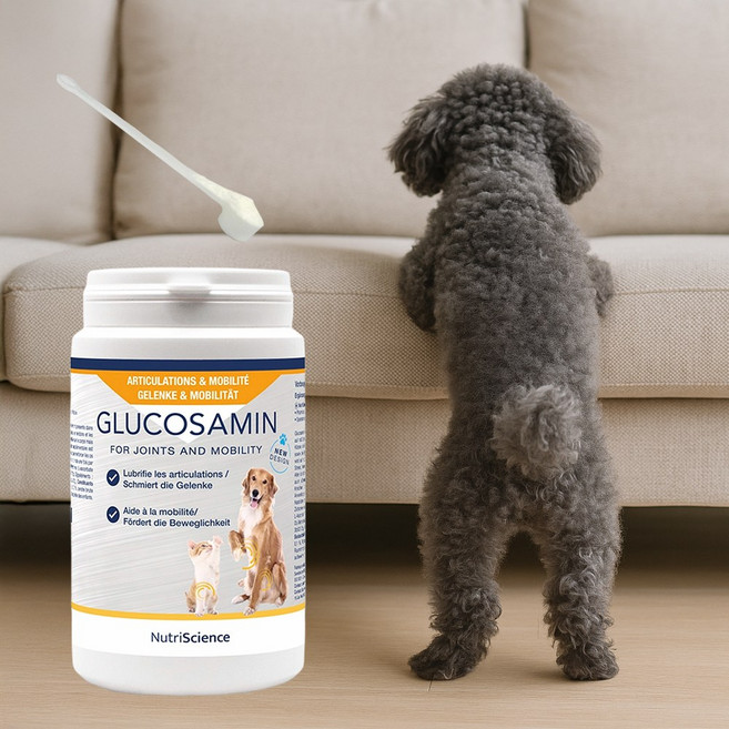 아부티유 프로덴 글루코사민 강아지 관절 연골 영양제 계단 오르기 힘들 때, 2개, 다이어트+관절+중성화, 100g