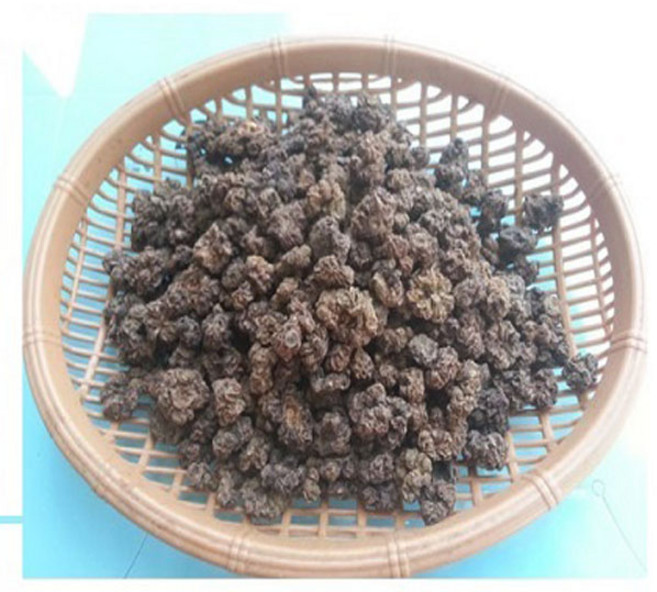 개다래 충영 (중국산) 자연산, 300g, 1개