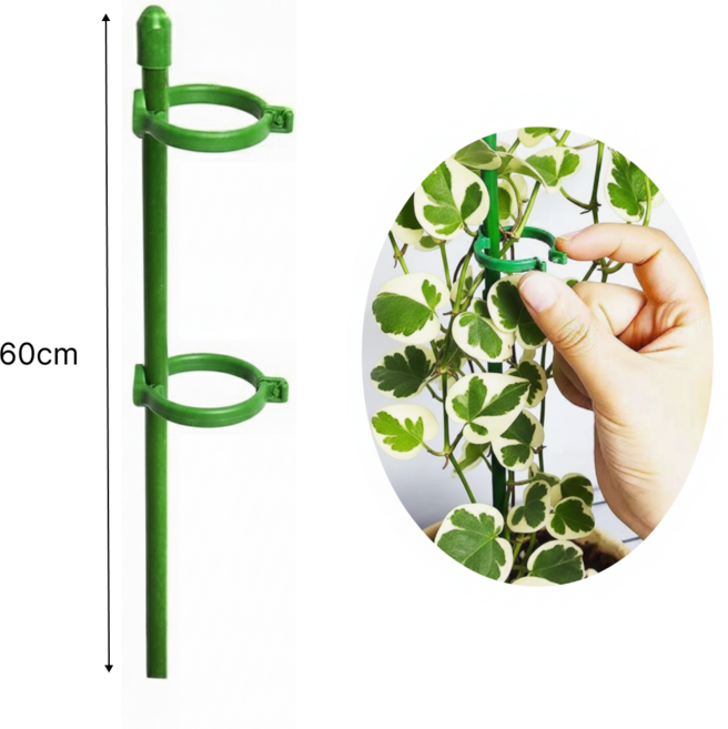 두두타운 높이조절 2단고정 식물지지대 60cm, 10개