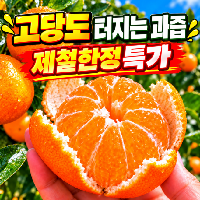 귤맛당 제주 고당도 15브릭스 귤, 1박스, 5kg(초특가)