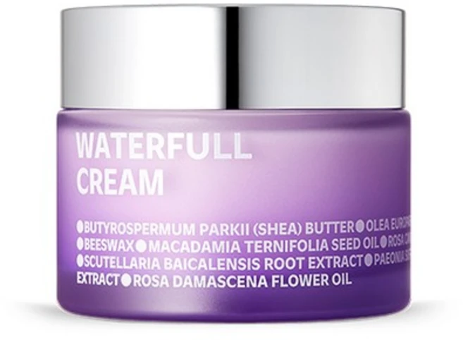 아이소이 워터풀 크림, 1개, 50ml - 쿠팡