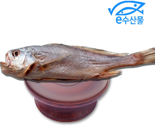 마산어시장 말린 반건조생선 제수용 침조기 대 34cm 긴가이석태 황민어 굴비 제사용 생선, 침조기중대37cm, 1개