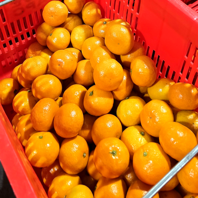 12brix 당도선별 타이벡 감귤 고당도보장, 로얄과 (2S~M), 5kg