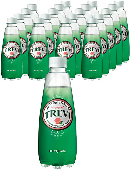 트레비 자몽 탄산음료, 300ml, 20개
