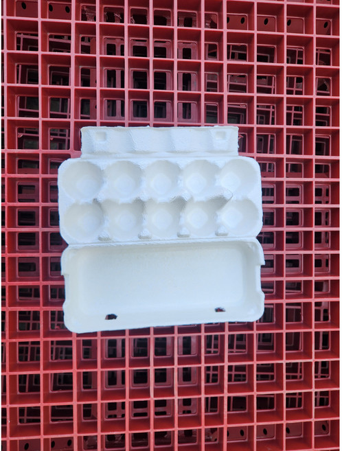 늘푸른농원 고급형 10구 계란판 (10개), 10개