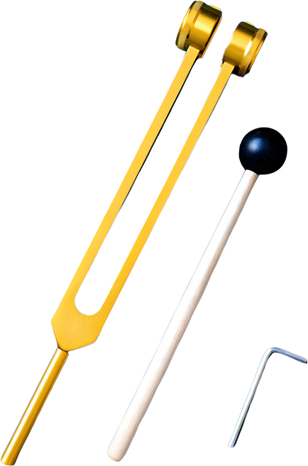 J-MAYER 采耳音叉 128Hz 專業耳部清潔工具, 1個, 不指定顏色