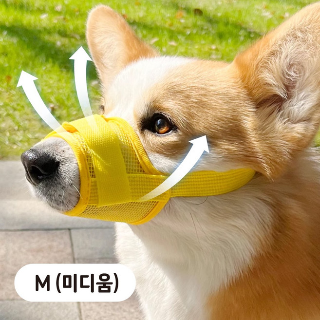 러뷰펫 소형견 중형견 편안한 메쉬 입마개 M, 1개, 옐로우