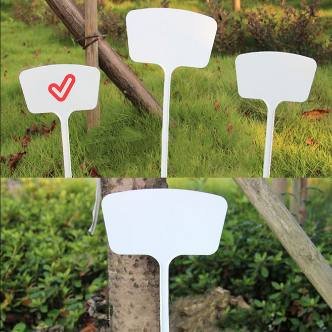 골든트리 T자형 식물 나무 이름표 45cm 대 10개입 1세트 화분픽 가든픽 다육이 네임택, T자형 대(45cm) 10개입