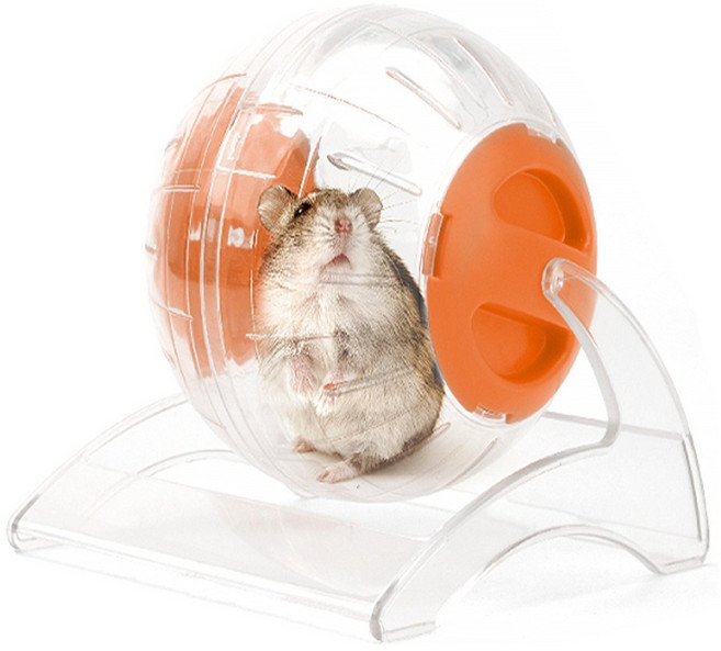 뉴에이지 햄스터 스탠드형 런닝볼 (오렌지) NA-H122, 오렌지, 1개