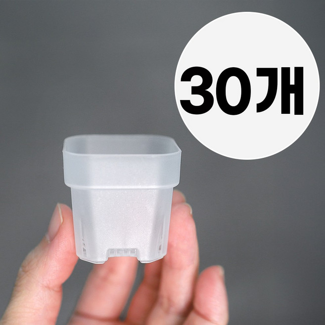 미니 투명 사각화분 플라스틱 슬릿 삽목화분, 30개