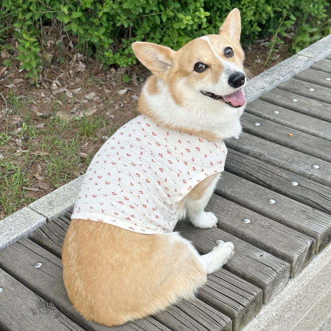 도기스타 웰시코기옷 민소매 여름 크롭티 나시, 꽃무늬, 1개