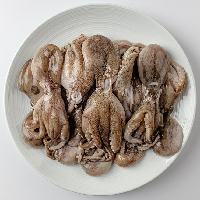 국내산 활 쭈꾸미 국내산 서해안 생물, 3kg, 1개