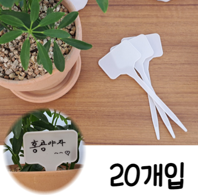 [HC리빙] 화분 화단 꽃 식물 이름표 20개입 / 라벨 네임텍 푯말 피켓 메모 플라스틱, 20개