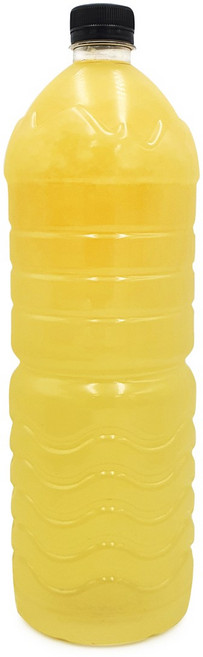 담아요 수제 레몬착즙청, 2.45kg, 패트병, 1개