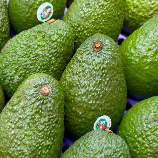 금메달농수산 직수입 정품 생아보카도, 1개, 대과 5과