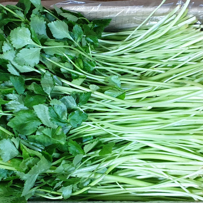 국내산 참나물, 4kg, 1박스