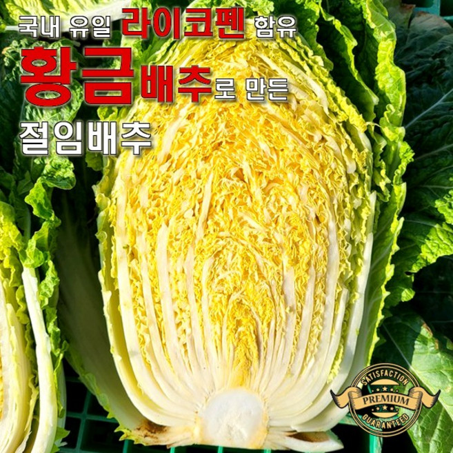 [실패없는 해남 햇 황금 절임배추] 국내산 해남 햇 황금 배추 지하 암반수와 신안 천일염으로 절인 HACCP 인증 황금배추, 햇 황금 배추 11월 17일 도착 (월요일), 1개, 20kg