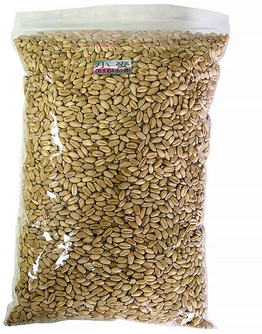 貓草小麥種子盆栽 (600g) 澳洲製造 園藝 綠化, 1個, 加購約600g小麥種子, 土黃