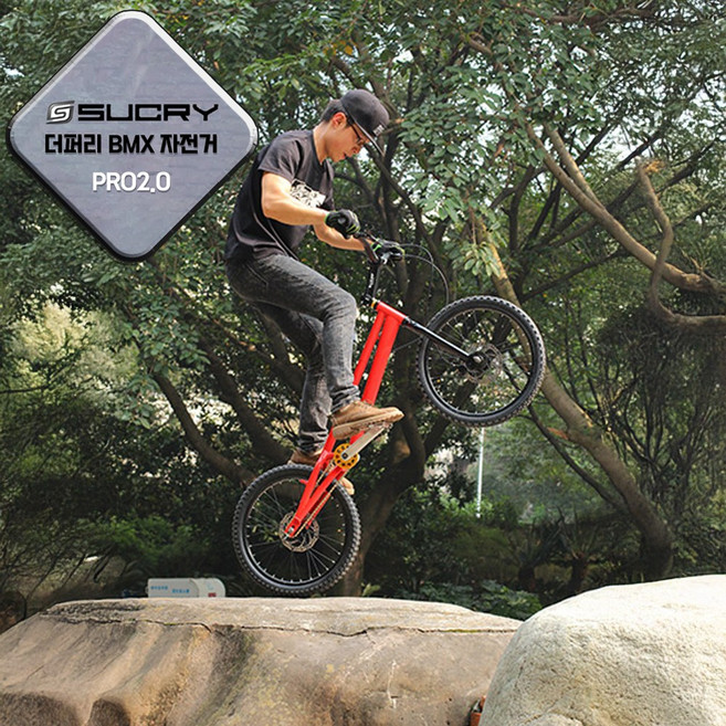 더퍼리 bmx 묘기자전거 스턴트 선수용 익스트림 경량, 1개, 142cm, 실버 PRO