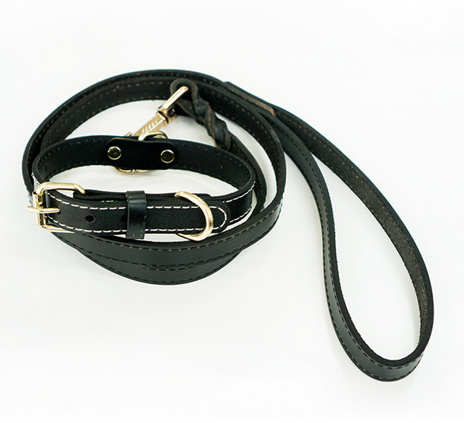 프리미엄 천연가죽 리드줄 소 중 대형견, 브라운, 1개