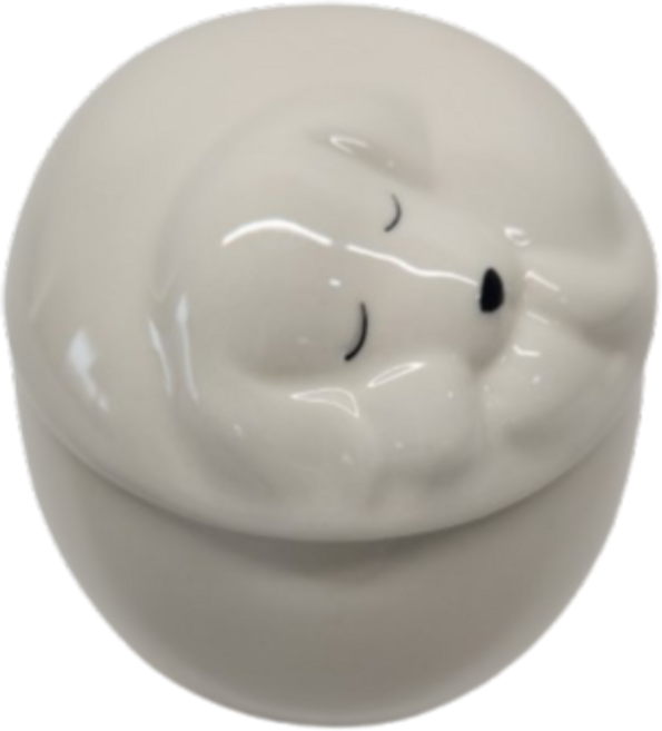 소베스트 반려동물 유골함 추모 보관함 납골함, 1개