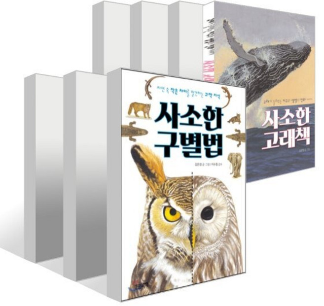 사소한 과학 시리즈 7권 세트 : 구별법+질문들+거미책+꿀벌책+날개책+상어책+고래책, 김은정 글그림, 한권의책