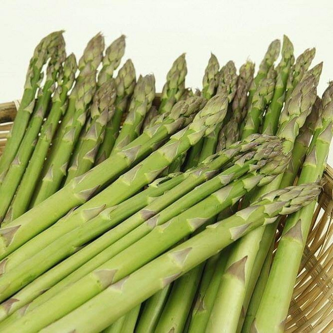 국내산 생 아스파라거스, 1kg, 1개