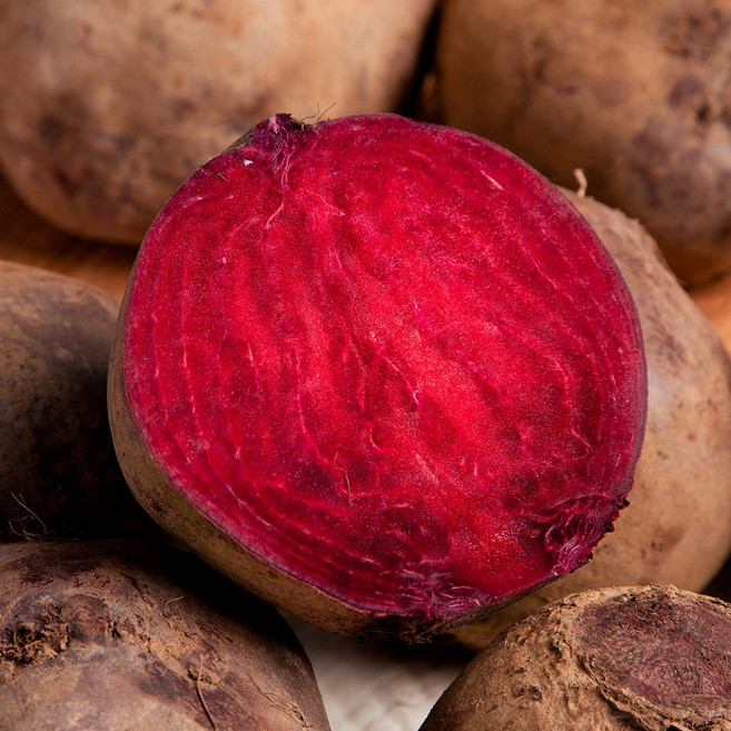 제주 햇 비트 레드비트 특품, 1개, 레드비트 10kg