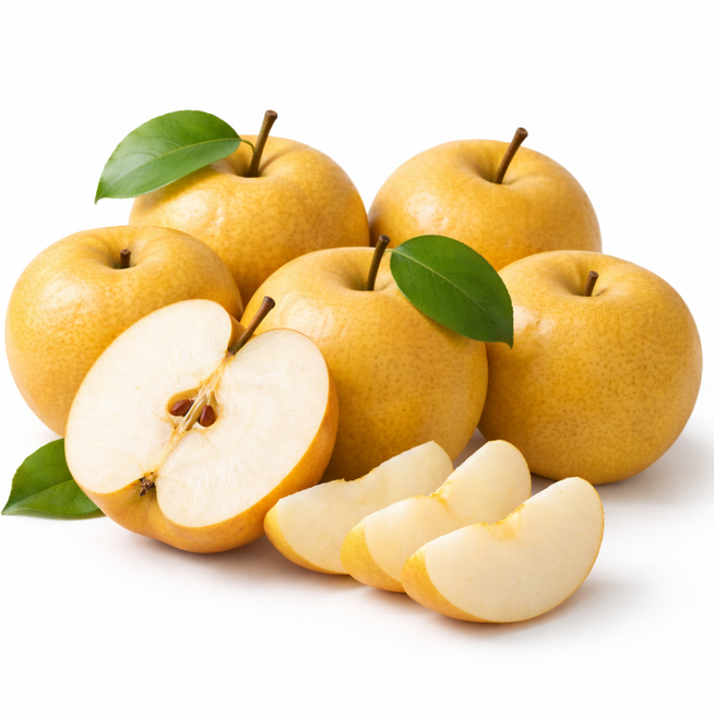 신고배 실속형, 1개, 500g내외(실속)