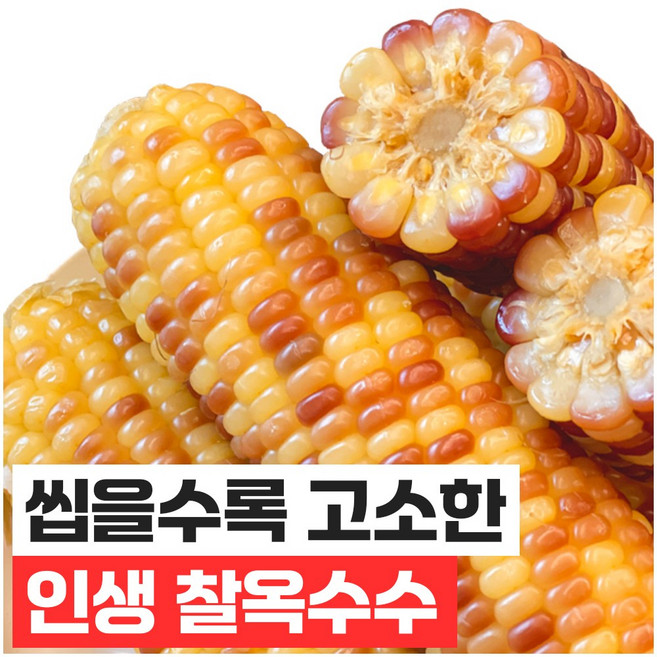 푸드지 손질세척 담백한 홍찰 옥수수, 30개