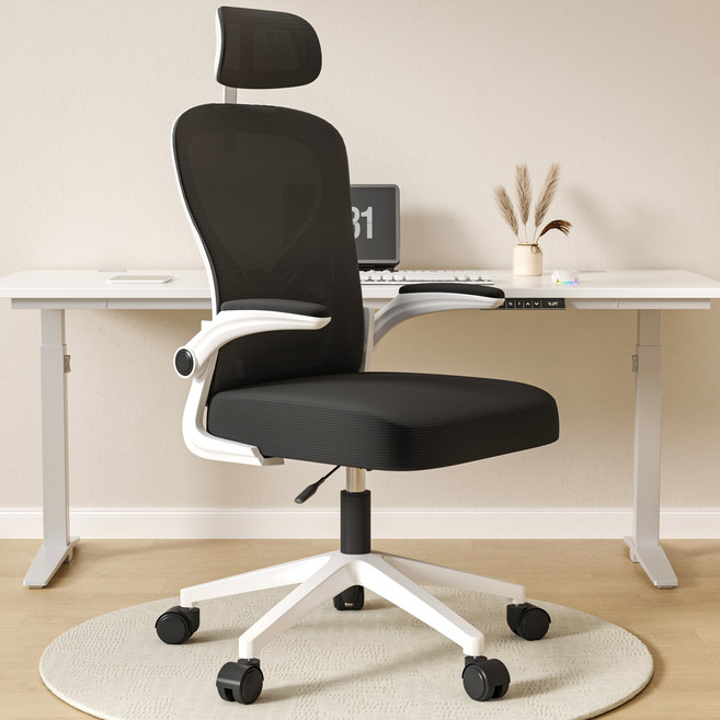 투에스리빙 자세교정 공부 사무용 허리받침 메쉬 컴퓨터 의자, 블랙A