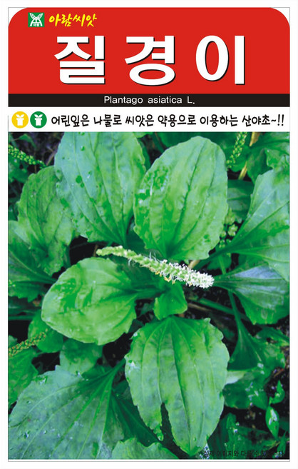 세인화분 질경이 2000립 - 국산 씨 씨앗 차전자 산야초, 2개