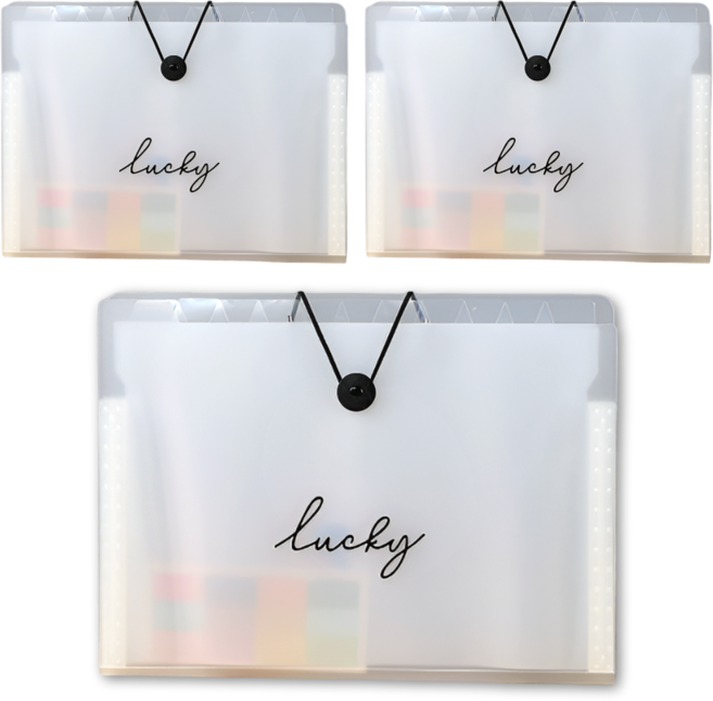 펴나나다 1+1+1 A4 12칸 아코디언 클리어 파일 홀더, 1세트, 반투명