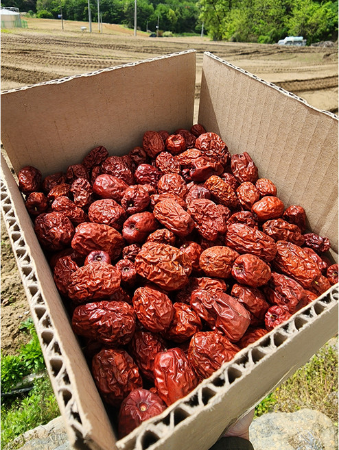 대추 햇대추 말린 건대추 국산 500g, 건대추(특상)~, 1개, 건대추:특상 500g